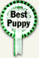 Best Puppy